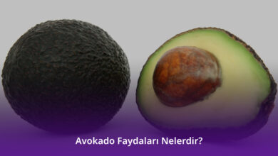 Avokado Faydaları Nelerdir?