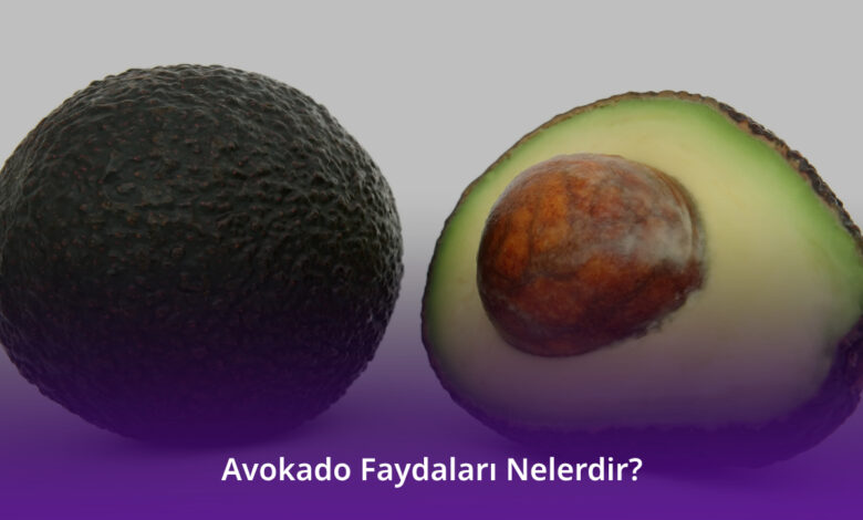 Avokado Faydaları Nelerdir?