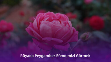 Rüyada Peygamber Efendimizi Görmek