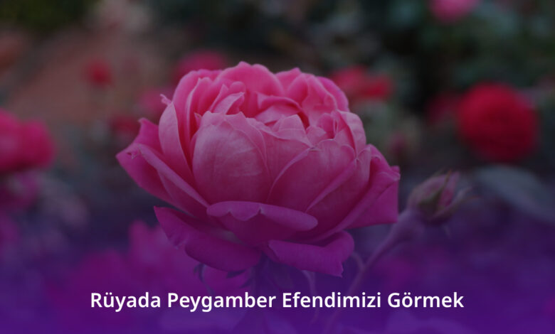 Rüyada Peygamber Efendimizi Görmek