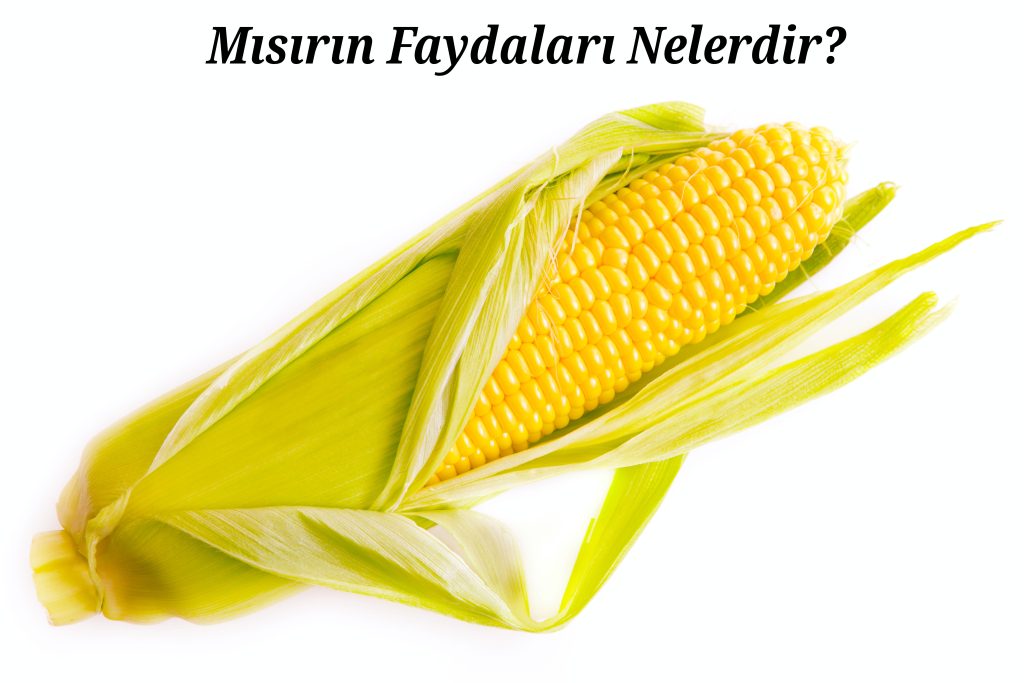 Mısırın Faydaları