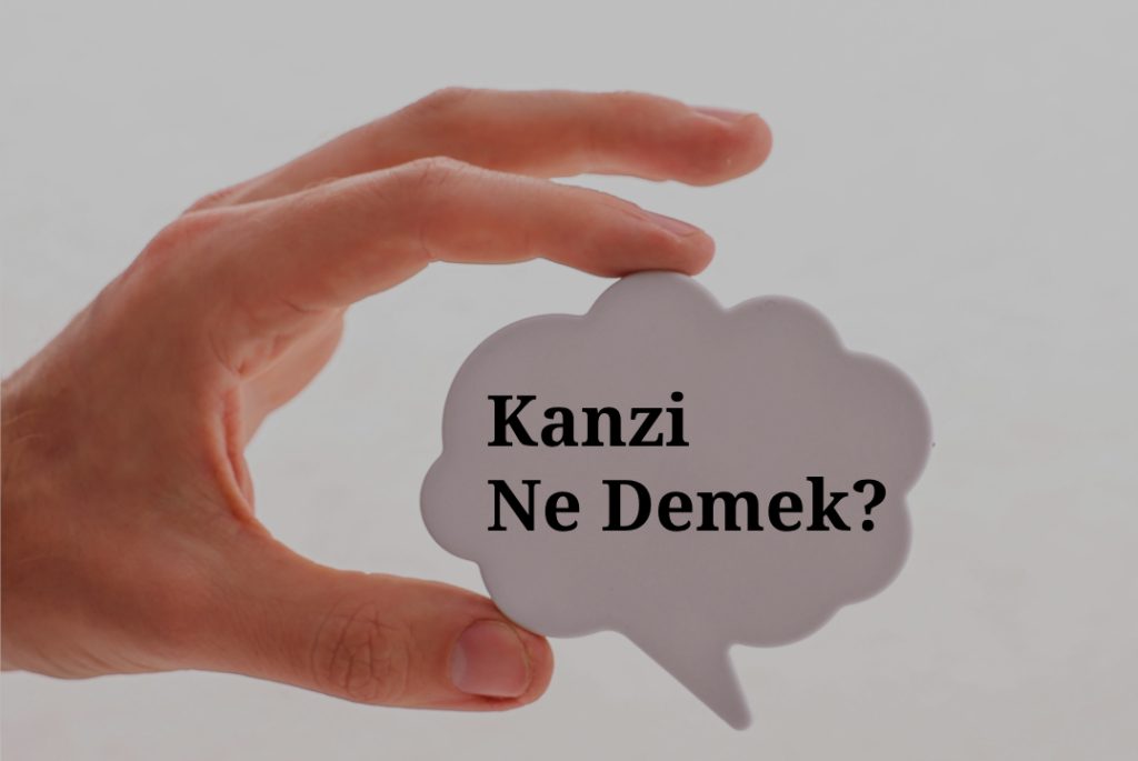 Kanzi Ne Demek