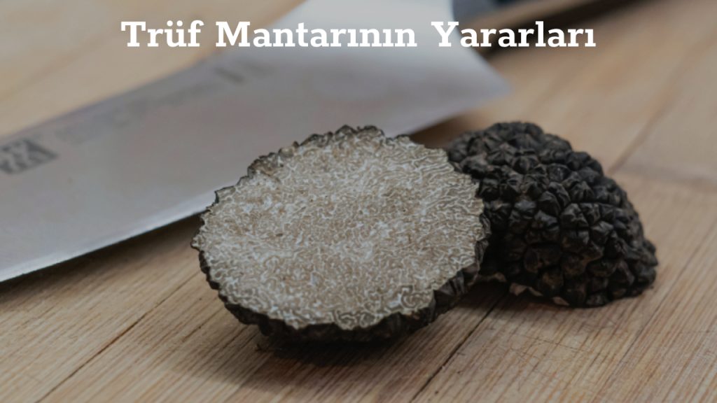 Trüf Mantarı
