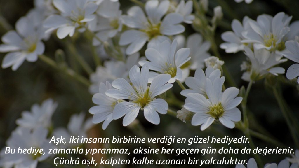 Güzel Sözler 2024 - Anlamlı, Duygusal, Etkileyici Kısa ve Uzun Sözler