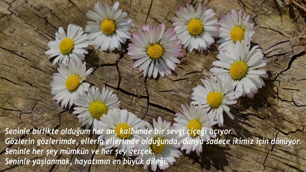 duygusal aşk sözleri