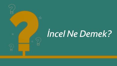 İncel ne demek