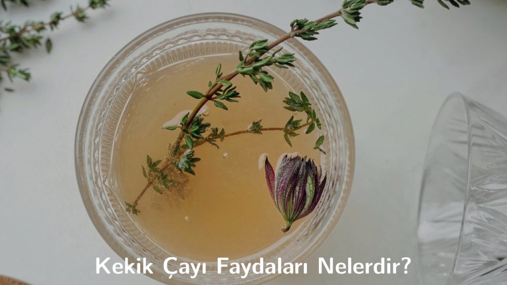 Kekik Çayı Faydaları