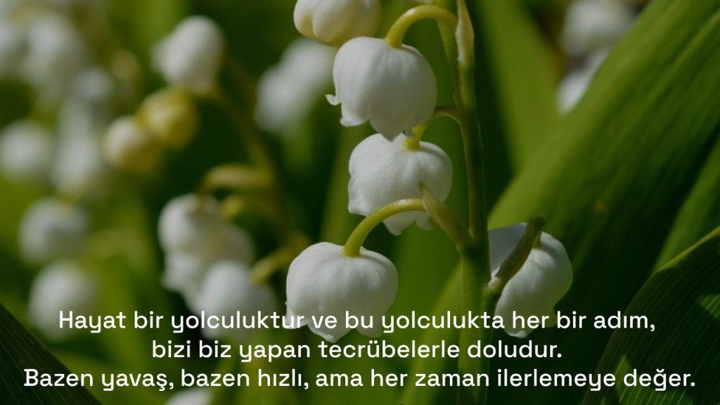 Güzel Sözler 2024 - Anlamlı, Duygusal, Etkileyici Kısa ve Uzun Sözler