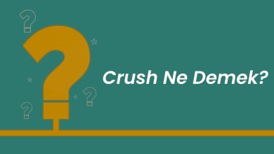 Crush ne demek