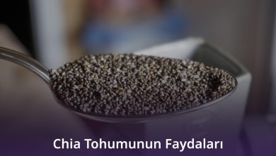 Chia Tohumunun Faydaları