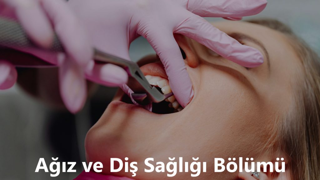 Ağız ve Diş Sağlığı Bölümü