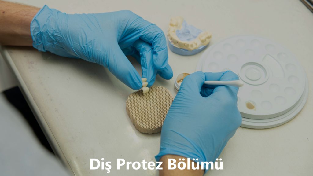Diş Protez Teknolojisi Bölümü