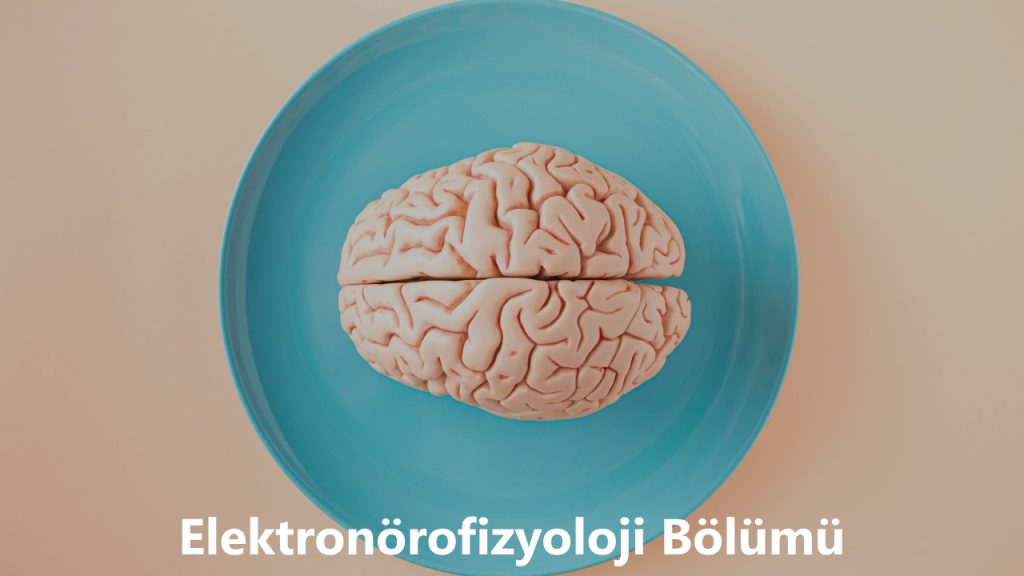 Elektronörofizyoloji Bölümü