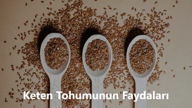 Keten Tohumunun Faydaları