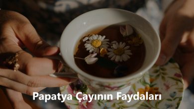 Papatya Çayının Faydaları