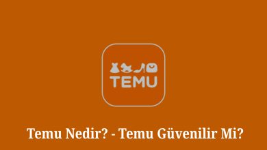 Temu Nedir