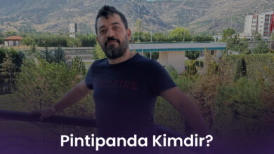 Pintipanda