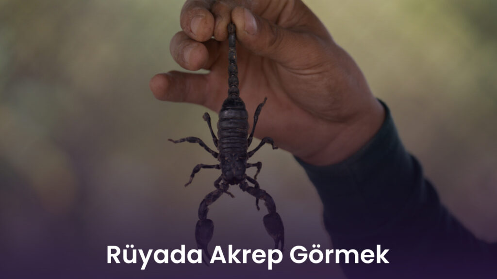 Rüyada Akrep Görmek