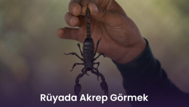 Rüyada Akrep Görmek