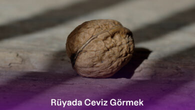 Rüyada Ceviz