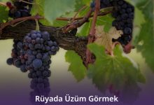 Rüyada Üzüm Görmek