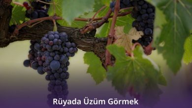 Rüyada Üzüm Görmek