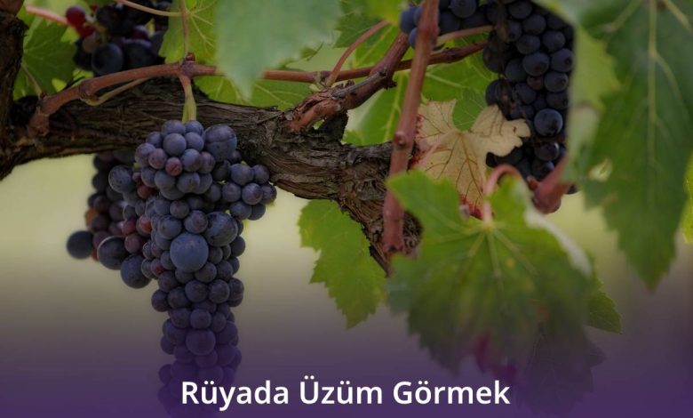 Rüyada Üzüm Görmek