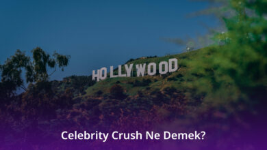Celebrity Crush Ne Demek
