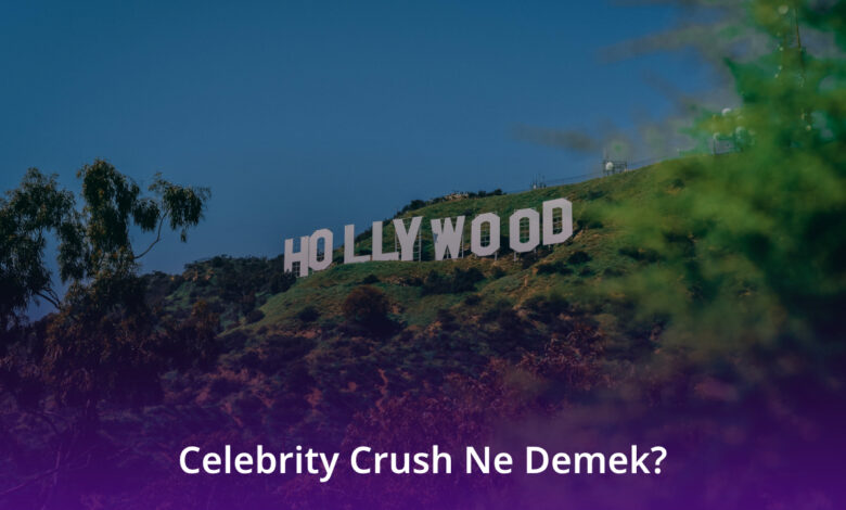 Celebrity Crush Ne Demek