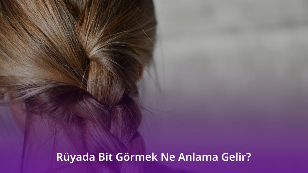 Rüyada Bit Görmek