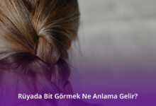 Rüyada Bit Görmek