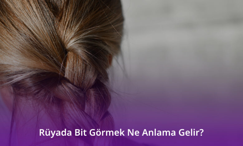 Rüyada Bit Görmek