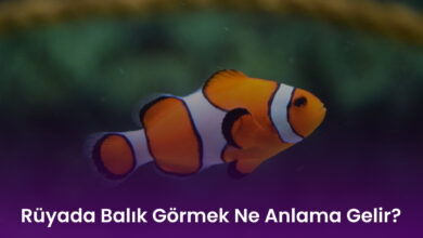 Rüyada Balık Görmek