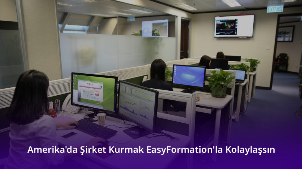 Amerika'da Şirket Kurmak EasyFormation'la Kolaylaşsın